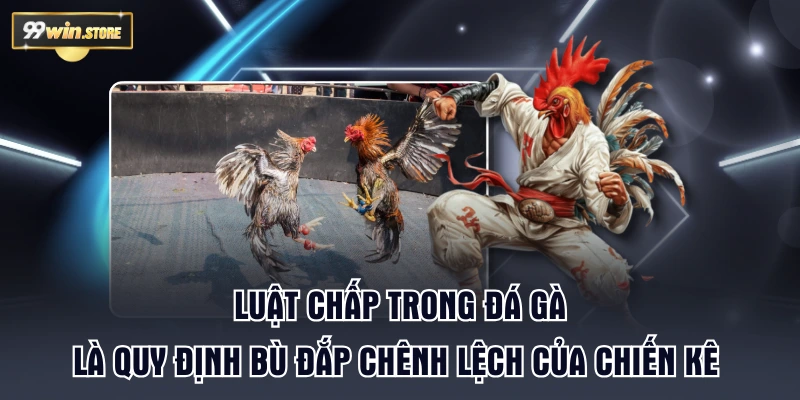 Luật chấp trong đá gà là quy định bù đắp chênh lệch của chiến kê